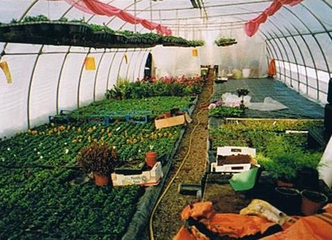 Geschichte Gartenbau Familienbetrieb Hermannsfeld Grabfeld
