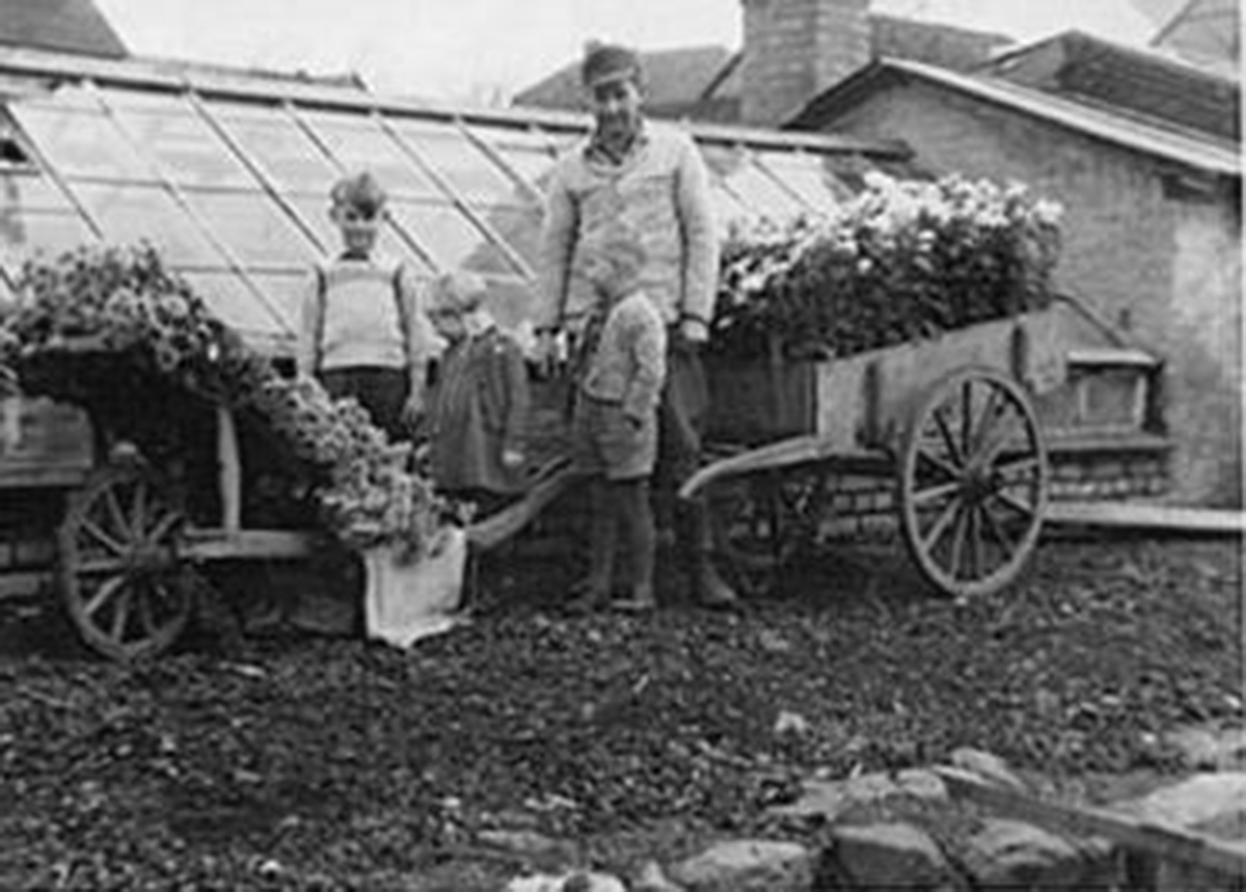 Geschichte Gartenbau Familienbetrieb Hermannsfeld Grabfeld