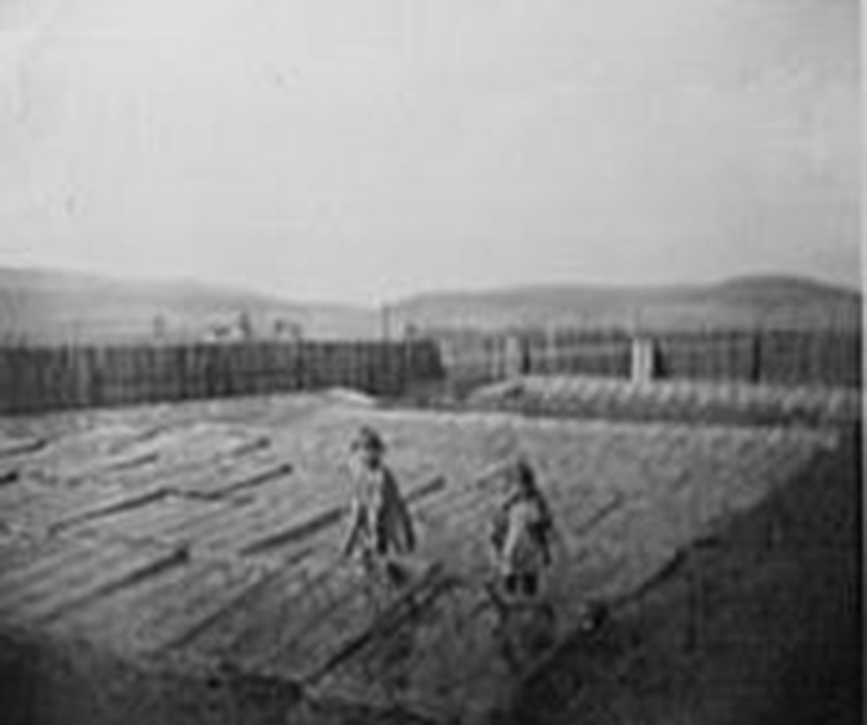 Geschichte Gartenbau Familienbetrieb Hermannsfeld Grabfeld