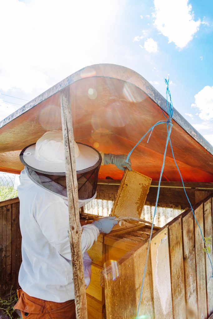 Honig Imker Bio Markt Hofladen Meiningen