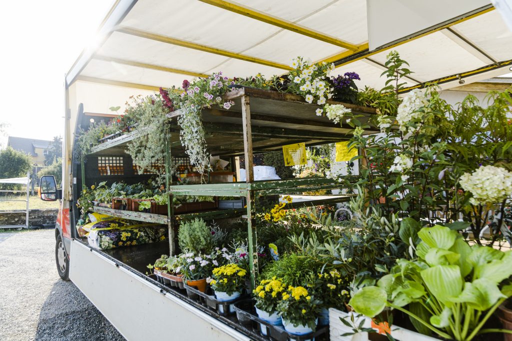 Markt Gemüseverkauf regional Anbau